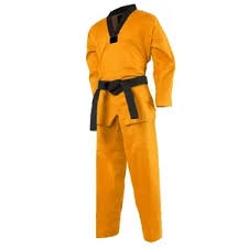 judo